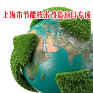 上海市节能技术改造项目专项
